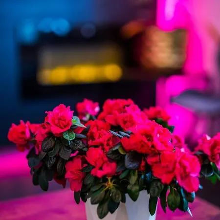 Glamour - Restaurant & 公寓式酒店 4*