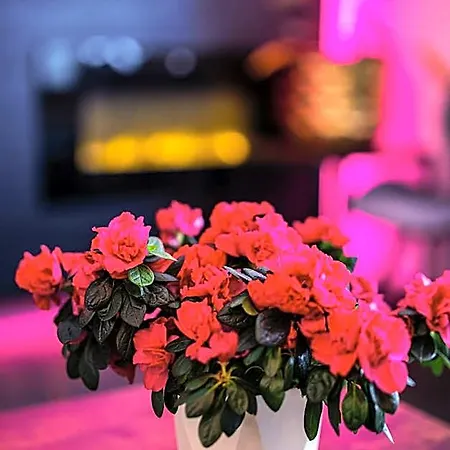 Apart Otel Glamour - Restaurant & 4*